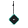 Picture of ECOXGEAR EcoPebble Lite Mint