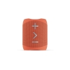 Picture of BlueAnt X3D Coral Chic