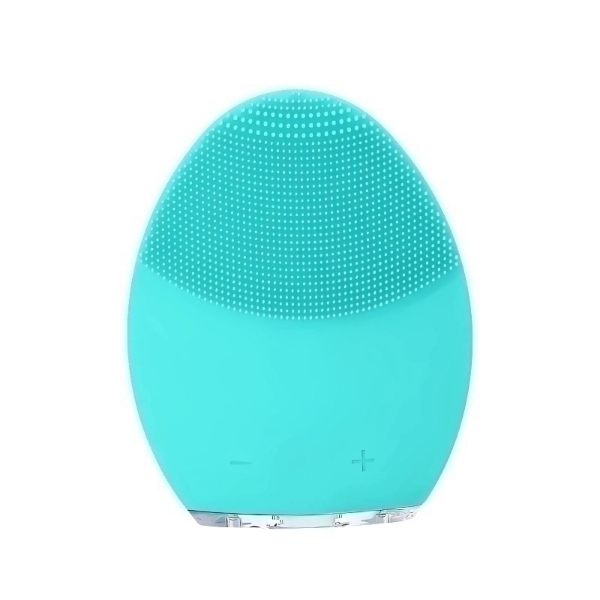 Picture of Wellcare Face Brush - Green