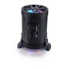 Picture of Ecoxgear SE Subwoofer ES08i