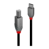 Picture of Lindy 2m USB 2.0 Type C to B