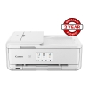 Picture of Canon TS9565a Value Bundle