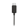 Picture of Philips InEar w Mic USB C BK