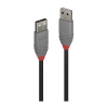 Picture of Lindy 0.2m USB 2.0 A to A Cbl