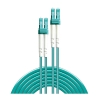 Picture of Lindy 100m Fibre Optic Cable