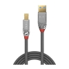 Picture of Lindy 5m USB 3.2 A to B 5Gbps